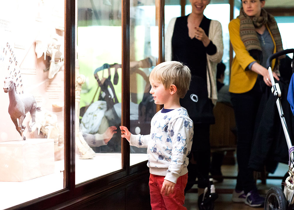 A little boy looks into an illuminated glass display case at the Horniman Museum. Two women and a pram are seen in the background.