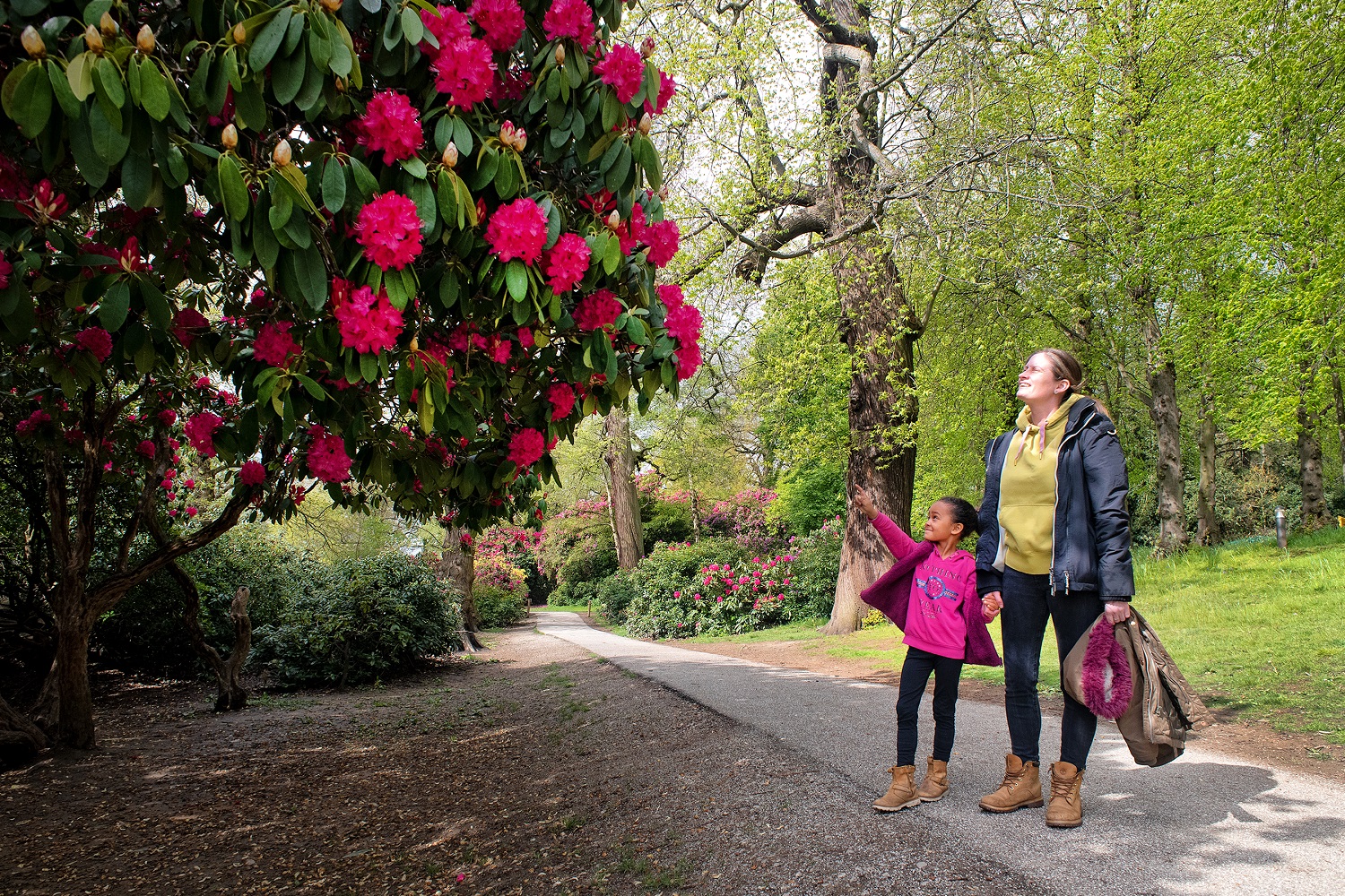 A young girl holding her mum's hand smiles and points at flowers in the Cannon Hall gardens.
